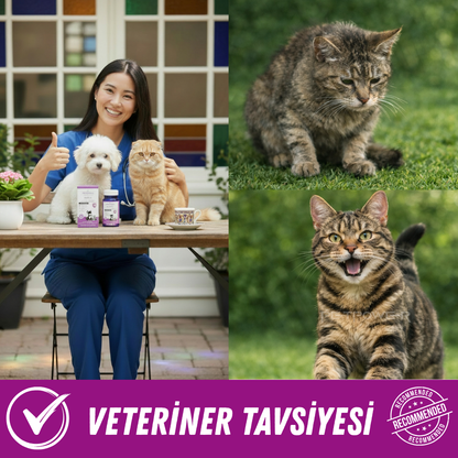 Kedi Köpek Bağışıklık Sistemi Desteği, Beta Glukan, C Vitamini, Taurin Tablet 75 Adet