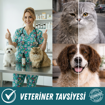 Kedi Köpek Balık Yağı, Fish Oil Omega 3 & 6 (EPA DHA) Cilt ve Tüy Bakımı 200 ml
