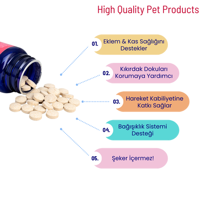 Köpekler İçin Sağlık Destek Paketi