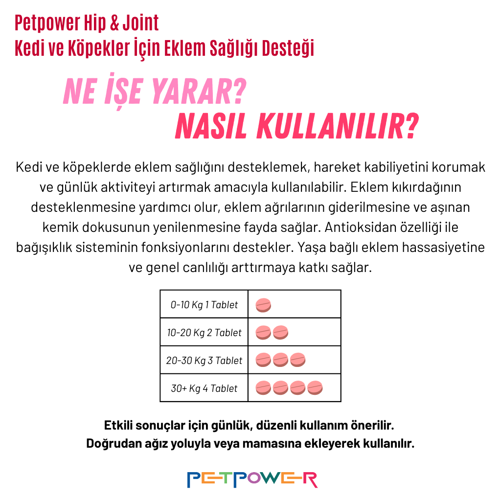 Kediler İçin Sağlık Destek Paketi