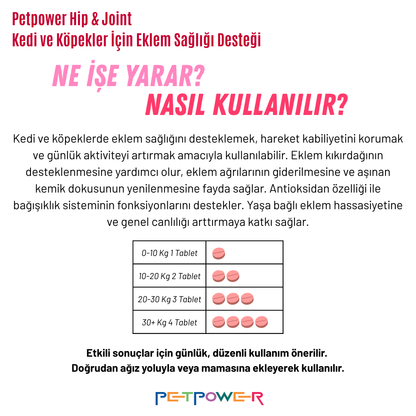 Köpekler İçin Sağlık Destek Paketi